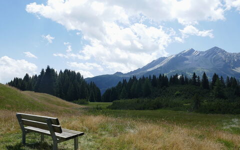 Larice: Cielo, Geografia Montane, Verde, Erba, Natura, Ambiente Naturale, Montagna, Collina, Paesaggio Naturale, Pascolo