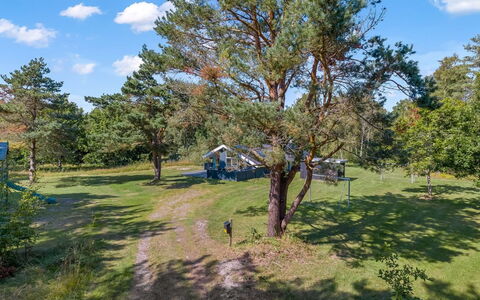 Rathulf - 700M from the Sea: Albero, Plain, Pascolo, Lotto, Prato, Prato, Pascolo, Parco, Sempreverde