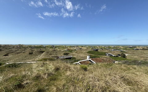 Marcus - 500M from the Sea: Estate, Shade, Driveway, Agriturismo