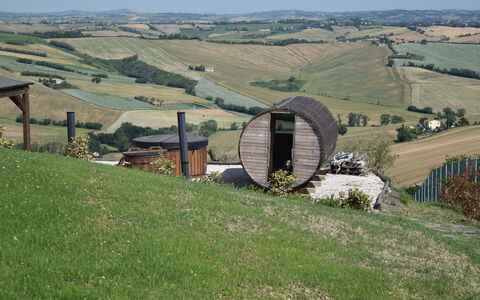 Casa In Collina: Collina, Paesaggio, Plain, Pascolo, Area Rurale, Campo, Valle, Prateria, Azienda Agricola