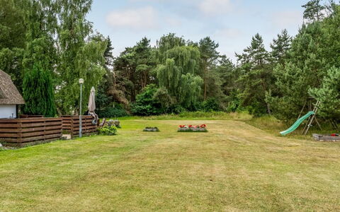 Hoat - 1.7Km from the Sea: Albero, Lotto, Giardino, Prato, Villetta, Prato, Backyard, Landscaping, Parco, Pascolo
