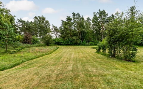 Hoat - 1.7Km from the Sea: Albero, Vegetazione, Pascolo, Estate, Arbusto, Lotto, Plain, Comunita 'Impianto, Prato