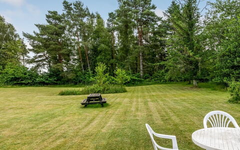 Hoat - 1.7Km from the Sea: Albero, Erba, Arbusto, Paesaggio, Giardino, Lotto, Prato, Prato, Landscaping, Parco