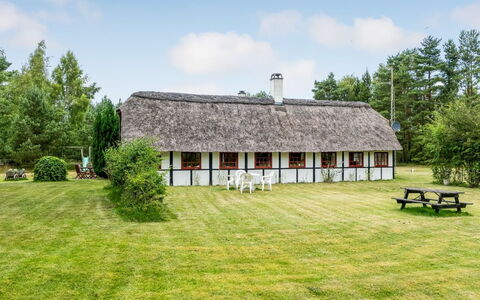 Hoat - 1.7Km from the Sea: Estate, Shade, Driveway, Agriturismo
