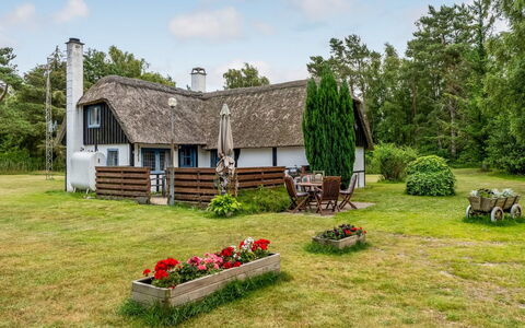 Hoat - 1.7Km from the Sea: Estate, Shade, Driveway, Agriturismo