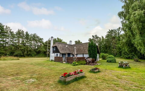 Hoat - 1.7Km from the Sea: Estate, Shade, Driveway, Agriturismo