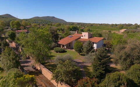 Villa Ginevra: Albero, Natura, Casa, Zona Residenziale, Paesaggio, Casa, Vegetazione, Area Rurale, Tetto