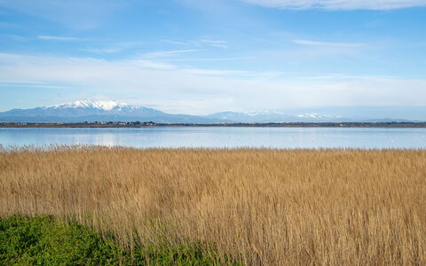 Tour Carrée: Blu, Acqua, Risorse Idriche, Paesaggio Naturale, Orizzonte, Ecoregione, Banca, Palude, Plain, Lago