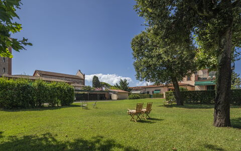 Attico Marino: Erba, Albero, Arbusto, Paesaggio, Lotto, Giardino, Prato, Groundcover, Shade