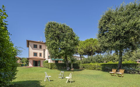 Attico Marino: Erba, Arbusto, Casa, Lotto, Prato, Giardino, Estate, Cortile, Landscaping, Hedge