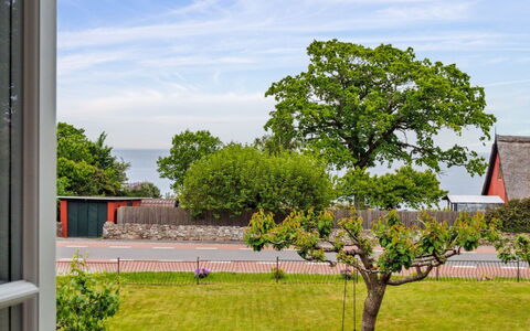 Hermine - 250M from the Sea: Foglia, Ramo, Arbusto, Primavera, Giardino, Shade, Woody Impianto, Ramoscello, Prato