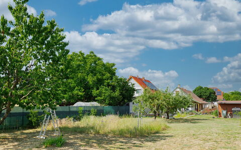 Goggola: Cielo, Giorno, Albero, Foglia, Nube, Plain, Lotto, Area Rurale, Primavera, Woody Impianto