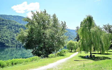 Casa Zaira: Verde, Foglia, Albero, Natura, Ambiente Naturale, Vegetazione, Paesaggio Naturale, Paesaggio, Banca, Primavera