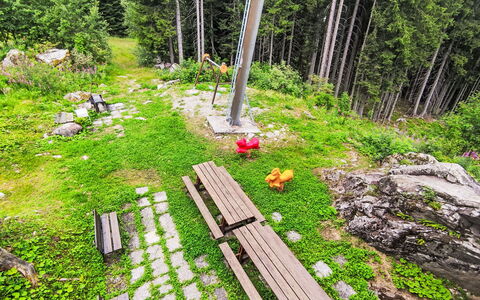 Tra le Piste: Foresta, Larice, Giardino, Woodland, Sempreverde, Landscaping, Boschi Di Conifere Tropicali E Subtropicali