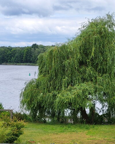 Seeblick 21