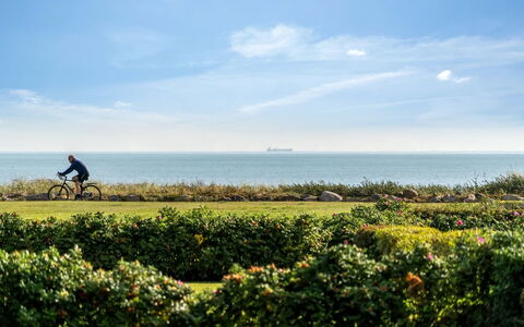 Thit - 90M from the Sea: Villetta, Backyard, Cortile, Edifici Giardino, Capannone, Raccordo, Mobili Da Esterno, Log Cabin, Struttura Esterna, Baracca