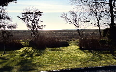 Bodulf - 850M from the Sea: Natura, Ramo, Paesaggio Naturale, Plain, Tronco, Luce Del Sole, Mattina, Prato, Ramoscello, Landscaping