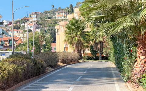 Casa Francy - Arma Di Taggia: Albero, Manto Stradale, Strada, Vegetazione, Zona Residenziale, Strada Transitabile, Asfalto, Strada, Corsia