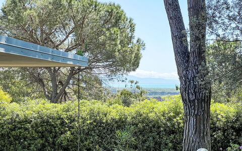 Villa Anna: Giorno, Verde, Foglia, Vegetazione, Arbusto, Primavera, Woody Impianto, Shade, Luce Del Sole, Giardino