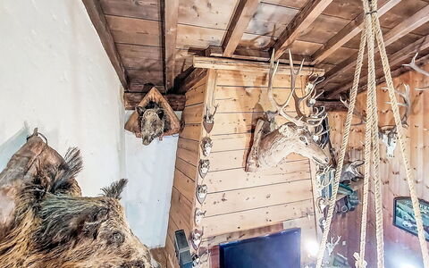Chalet le Prarion: Legna, Materiali Naturali, Corno, Plank, Log Cabin, Color Legno, Antler, Legname, Latifoglie, Inverno