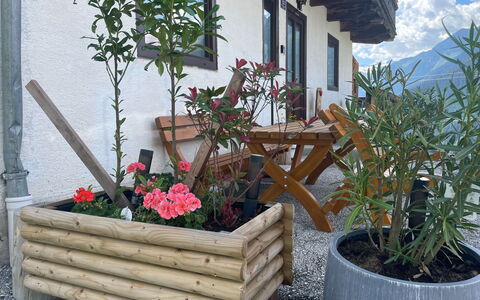 Panoramaperle: Legna, Vaso Di Fiori, Pianta Della Casa, Giardino, Latifoglie, Fiorai, Plank, Color Legno, Erba