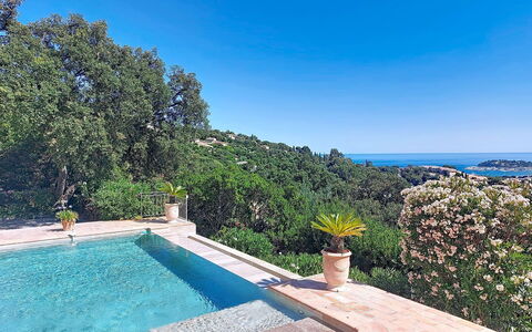 Manureva: Piscina, Ricorrere, Giochi D'Acqua, Shade, Landscaping, Eco Hotel, Tropici, Villa, Flagstone, Resort Citta '