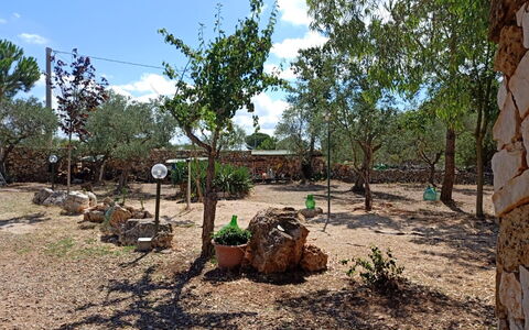 Borgo Incanto: Albero, Paesaggio, Suolo, Tronco, Woody Impianto, Giardino, Shade, Landscaping, Backyard, Sentiero