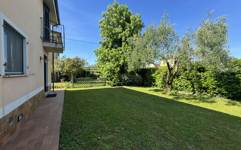 Dependance Egle: Erba, Giardino, Arbusto, Prato, Lotto, Groundcover, Backyard, Cortile, Shade
