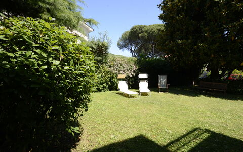 Casa Silvia: Foglia, Arbusto, Giardino, Prato, Groundcover, Backyard, Shade, Cortile, Landscaping, Hedge