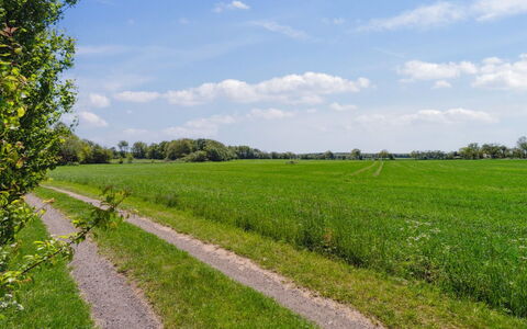 Aarni - 6.5Km from the Sea: Appartamento, Condominio, Estate, Balcone, Villa, Hotel