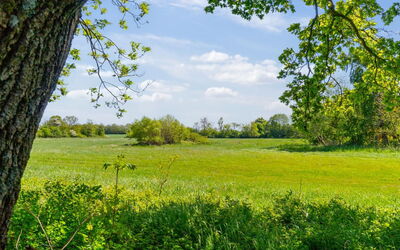 Aarni - 6.5Km from the Sea