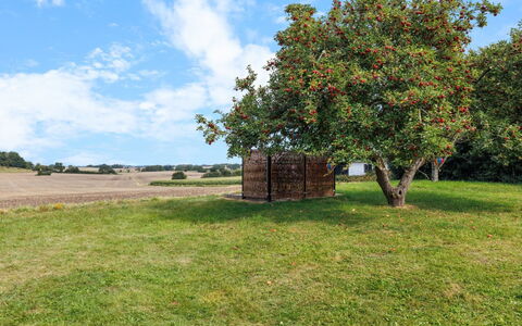 Alisa - 2.5Km from the Sea: Erba, Pascolo, Lotto, Villetta, Area Rurale, Prato, Edifici Giardino, Giardino, Capannone