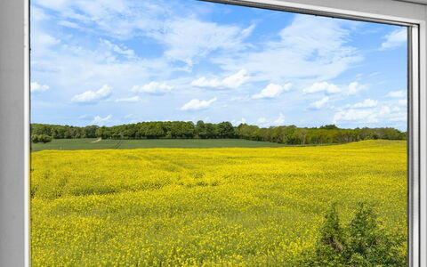 Alisa - 2.5Km from the Sea: Erba, Pascolo, Lotto, Villetta, Area Rurale, Prato, Edifici Giardino, Giardino, Capannone
