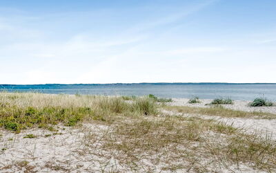 Jyrki - 100M from the Sea