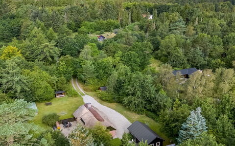 Hilaria - 2.1Km from the Sea: Albero, Ambiente Naturale, Paesaggio, Area Rurale, Lotto, Visione Globale, Insediamento Umano, Fotografia Aerea, Villetta, Piantagione