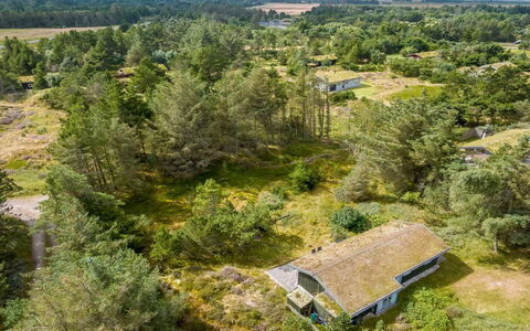 Saila - 1.2Km from the Sea: Vegetazione, Paesaggio, Ecoregione, Lotto, Comunita 'Impianto, Area Rurale, Villetta, Campo, Prato, Piantagione