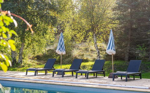 Arsi - 1.8Km from the Sea: Paesaggio, Lotto, Piantagione, Pine Famiglia, Sempreverde