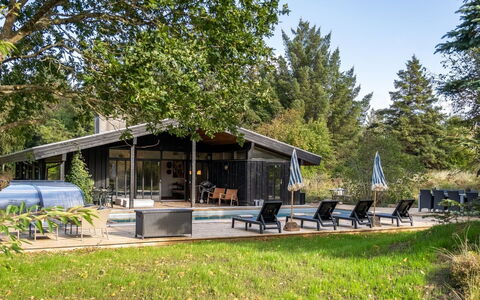 Arsi - 1.8Km from the Sea: Paesaggio, Lotto, Piantagione, Pine Famiglia, Sempreverde