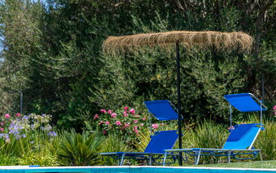 Alloggio:&nbsp;Suites Sunny Hill 202.4