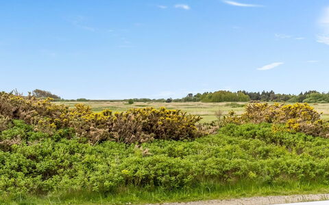 Steffan - 2.3Km from the Sea: Villetta, Backyard, Cortile, Edifici Giardino, Capannone, Raccordo, Mobili Da Esterno, Log Cabin, Struttura Esterna, Baracca
