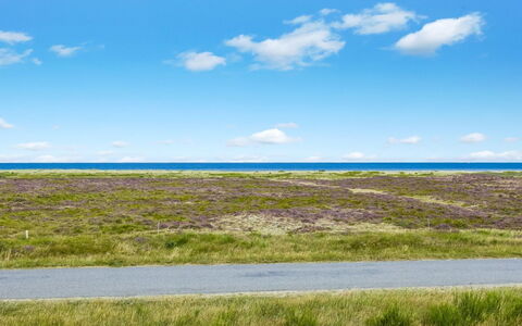 Lutz - 340M from the Sea: Tetto, Casa, Casa, Villetta, Raccordo, Estate, Driveway, Edifici Giardino, Cortile, Capannone