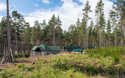 Alloggio:&nbsp;Beekeepers Bothy 101.1