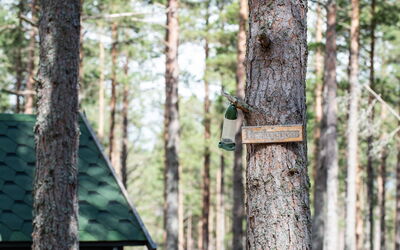 Alloggio:&nbsp;Beekeepers Bothy 101.1