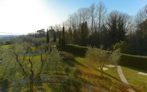 Villa Diamante: Erba, Foglia, Natura, Verde, Ambiente Naturale, Vegetazione, Paesaggio Naturale, Arbusto, Paesaggio, Lotto