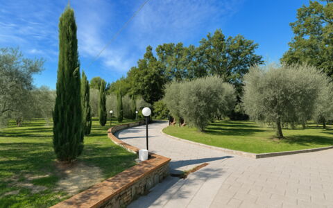 Villa Diamante: Albero, Erba, Foglia, Arbusto, Giardino, Woody Impianto, Primavera, Passerella, Parco, Landscaping