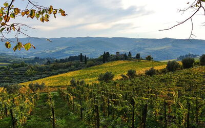 Greve in Chianti 989