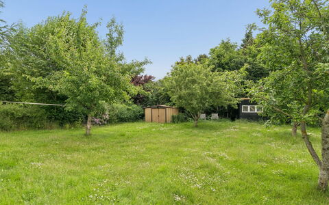 Rikhard - 175M to the Fjord: Albero, Arbusto, Lotto, Plain, Prato, Giardino, Prato, Backyard, Cortile