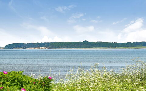 Gertje - 20M from the Sea: Blu, Arbusto, Villetta, Groundcover, Giardino, Estate, Shade, Landscaping, Agriturismo, Eco Hotel