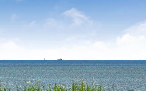 Gertje - 20M from the Sea: Blu, Arbusto, Villetta, Groundcover, Giardino, Estate, Shade, Landscaping, Agriturismo, Eco Hotel