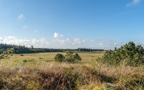 Anneka - 750M from the Sea: Cielo, Blu, Erba, Ambiente Naturale, Nube, Pascolo, Vegetazione, Paesaggio Naturale, Ecoregione, Plain